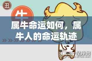 设身处地 第4页