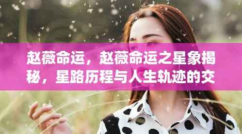 赵薇星路历程与人生轨迹揭秘,命运之星象交汇点