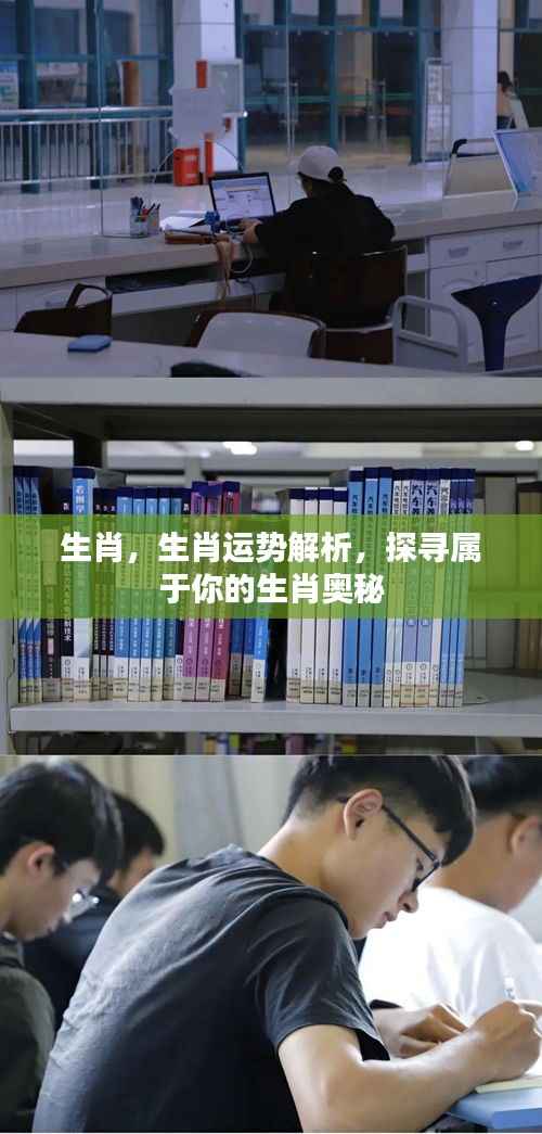 生肖奥秘深度解析,探寻属于你的生肖运势与神秘力量