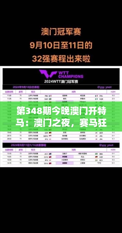 第348期今晚澳门开特马:澳门之夜,赛马狂热的极致展现
