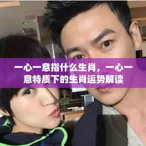 一心一意特质下的生肖运势解读,揭秘生肖秘密
