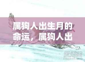 属狗人出生月的命运解析,星辰指引下的生命轨迹