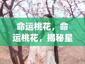 揭秘星座爱情运势走向,命运桃花深度解析