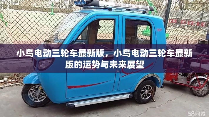 小鸟电动三轮车最新版,展望运势与未来发展趋势