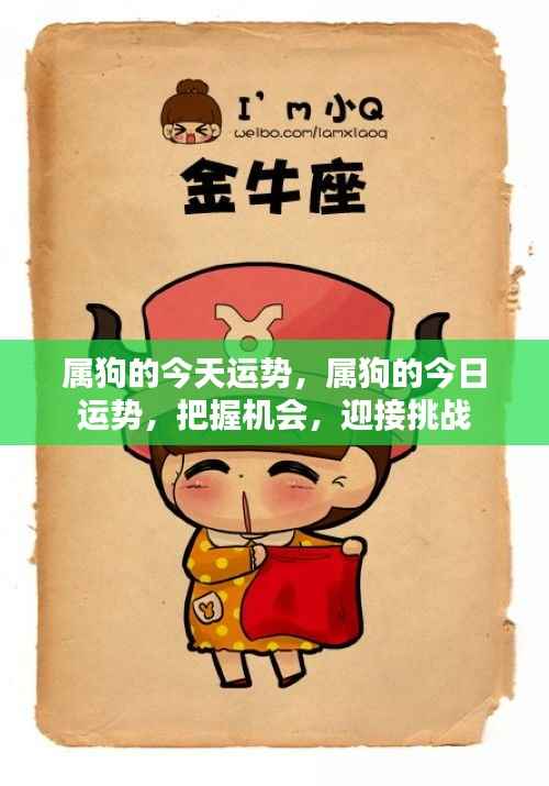 属狗的今日运势展望,把握机遇,迎接挑战