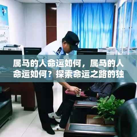 属马人的命运探索,独特轨迹与人生展望