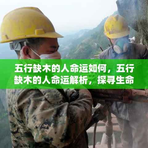 五行缺木者的命运解析,探寻生命之树的平衡与影响