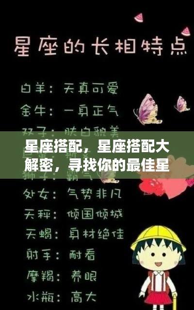 星座配对大解密,寻找你的最佳星座伴侣