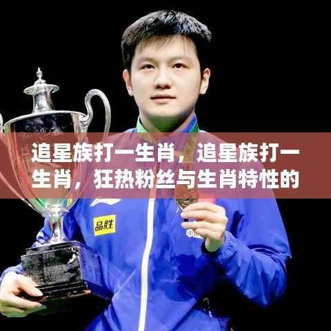 追星族与生肖的狂热融合,粉丝狂热与生肖特性的完美体现