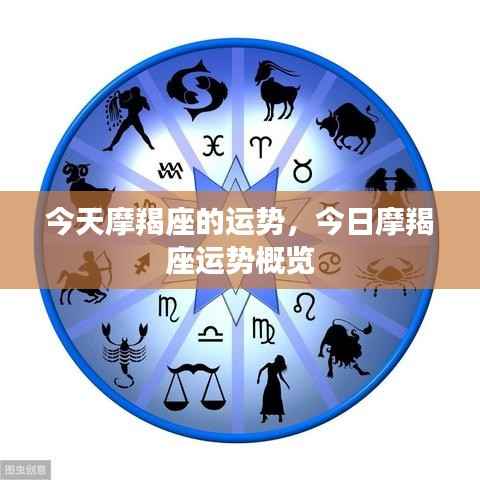 今日摩羯座运势概览及特点分析