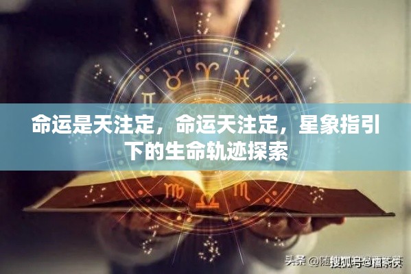 飞蛾扑火 第3页