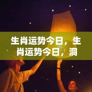 今日生肖运势详解,高峰与低谷洞悉