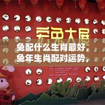 兔年生肖配对运势详解,兔与哪些生肖最佳搭配?