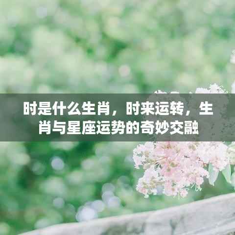生肖与时来运转,生肖与星座运势的奇妙交融揭秘