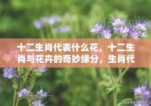 十二生肖与花卉的奇妙缘分,生肖代表花卉详解