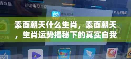 素面朝天生肖揭秘,探寻真实自我