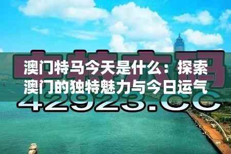 澳门特马今天是什么:探索澳门的独特魅力与今日运气