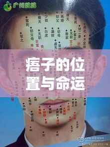 揭秘痦子的位置与命运关联,星相与面相的奥秘图解