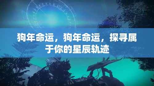 狗年命运揭秘,探寻属于你的星座轨迹