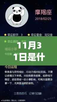 探寻未知星座,揭秘11月31日的星界归属