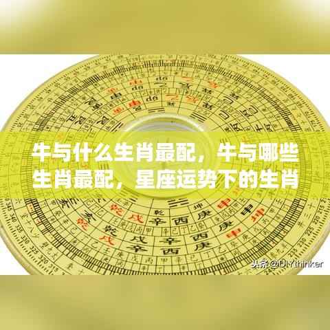星座运势下的生肖和谐度解析,牛与哪些生肖最配?