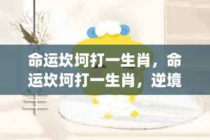 逆境中的坚韧与成长,命运坎坷下的生肖挑战