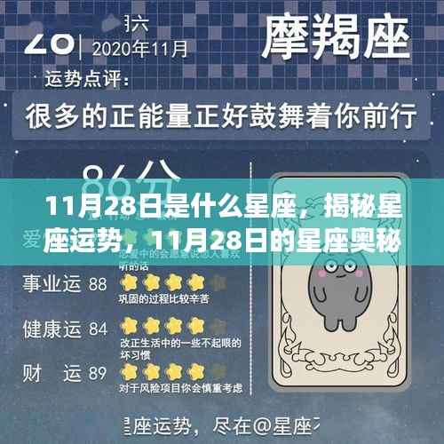 揭秘星座运势,11月28日的星座奥秘与运势分析