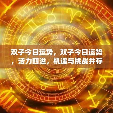 双子今日运势详解,活力四溢,机遇挑战并存