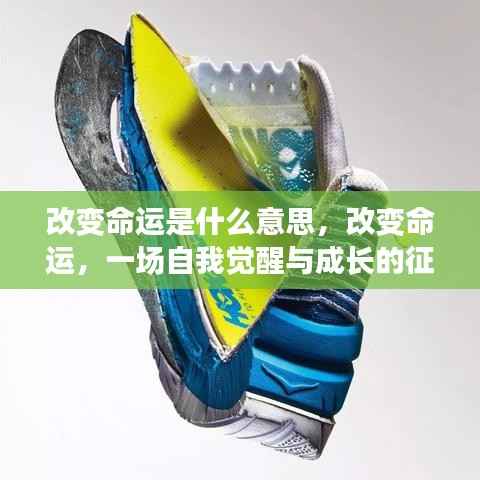 自我觉醒与成长,改变命运的征途