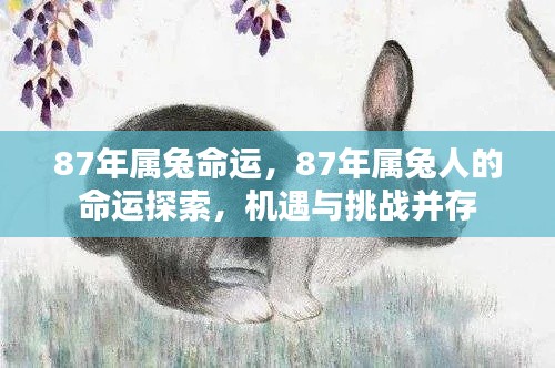 矢志不渝 第5页