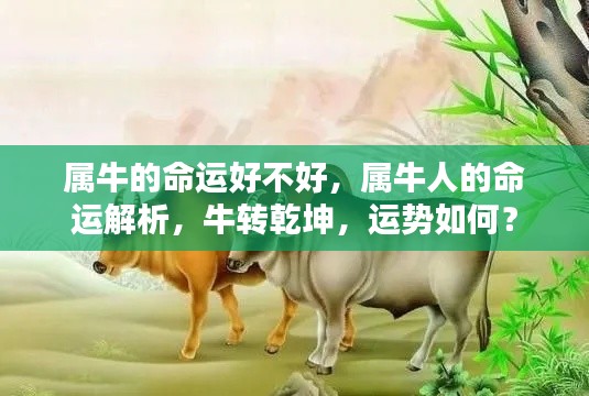 属牛人的命运详解,运势解析与牛转乾坤展望