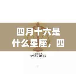 仙姿佚貌 第4页