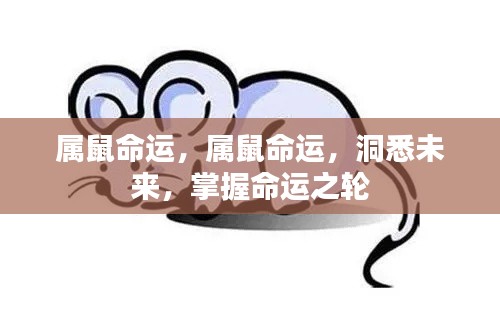 属鼠命运揭秘,洞悉未来,掌握命运之轮走向