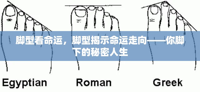 脚型揭示命运走向,脚下的秘密人生探索