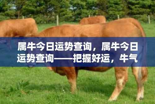属牛今日运势查询,把握好运势,牛年运势冲天!
