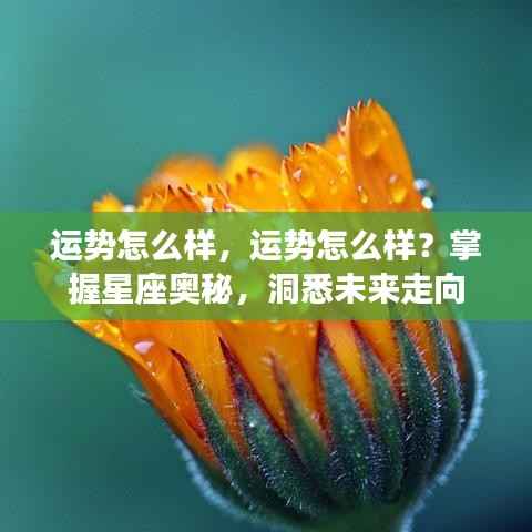 掌握星座奥秘,洞悉未来运势走向!