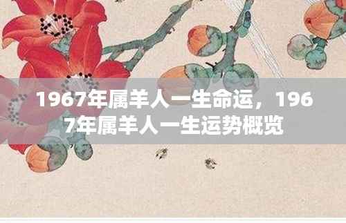 1967年属羊人的命运与运势概览