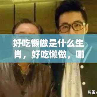 好吃懒做背后的生肖秘密,躺平人生也能风生水起?