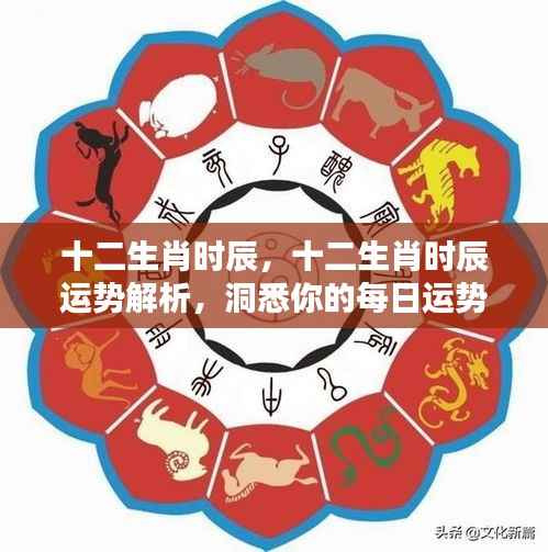 十二生肖时辰运势解析,洞悉每日运势走向