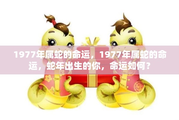 揭秘属蛇命运,1977年出生者的蛇年运势解析