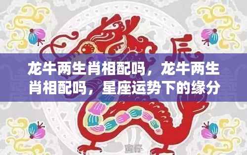 龙牛两生肖配吗?星座运势下的缘分深度解析
