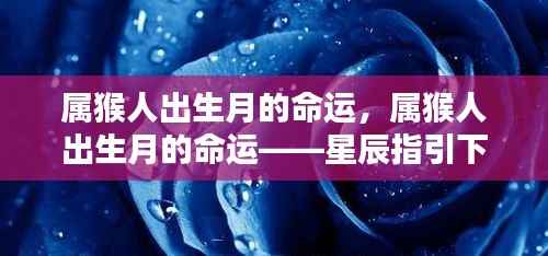 星辰指引下的命运篇章,属猴人的出生月与命运解析