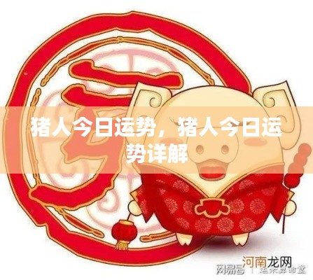 猪人今日运势详解及运势分析