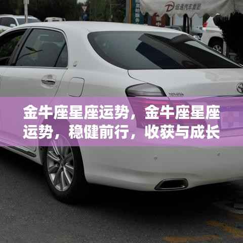 金牛座星座运势展望,稳健前行,收获与成长双丰收