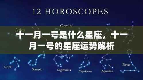 十一月一号的星座运势解析及特点概述