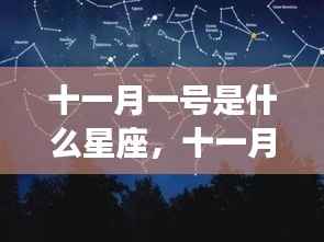 十一月一号的星座运势解析及特点概述