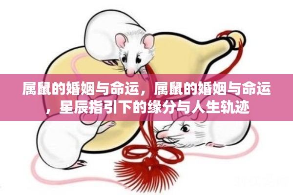 星辰指引下的属鼠婚姻与命运探索,缘分轨迹与人生展望