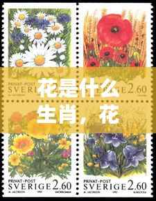 探寻花的生肖,奥秘与运势解析