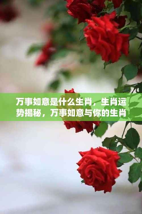 生肖运势揭秘,你的生肖与万事如意息息相关