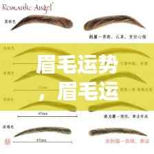 眉毛运势揭秘,星相变化与人生轨迹的紧密关联